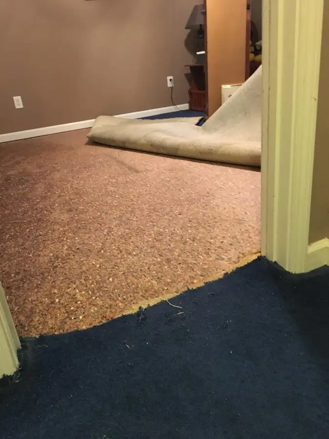 Carpet pad removal revealing water damage during Water Mitigation Services in Algoma