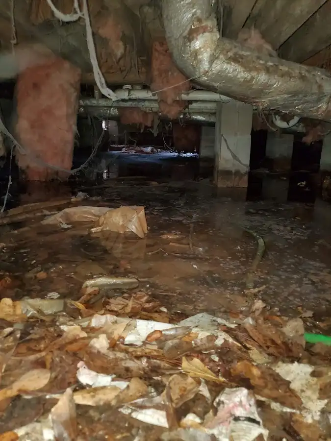 Crawl space flood assessment for Leak Detection & Repair in Algoma