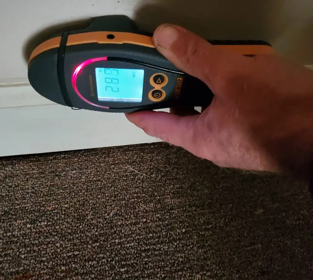 Moisture detection at baseboard during Burst Pipe Cleanup in Algoma